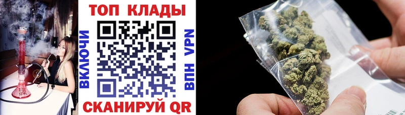 Виды наркотиков купить Няндома КОКАИН  Меф мяу мяу  Альфа ПВП  Псилоцибиновые грибы  Гашиш  Конопля 
