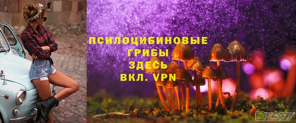 ALPHA-PVP Гусев