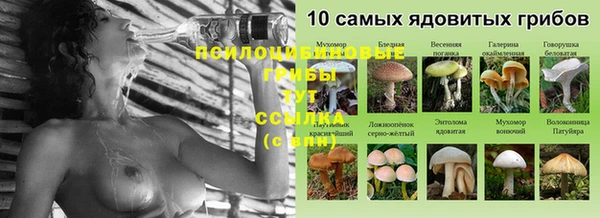 МДМА Гусиноозёрск
